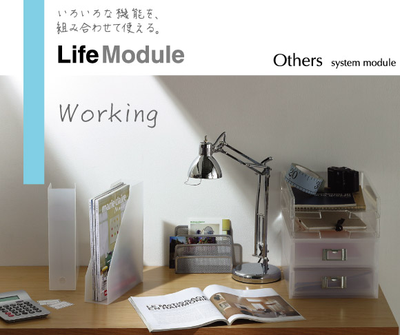 낢ȋ@\Agݍ킹ĎgB
Life Module
Others system Module